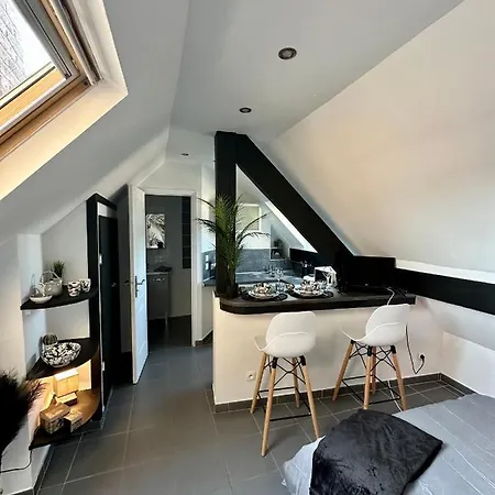 Apartman Chaleureux Hypercentre Amiens