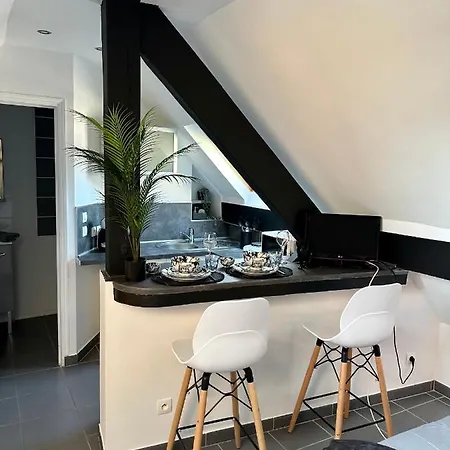 Apartment Chaleureux Hypercentre Amiens