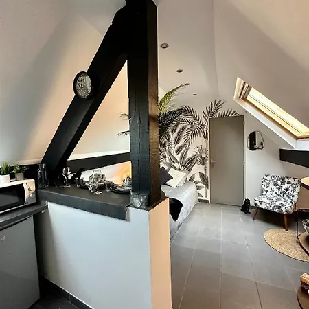 Chaleureux Hypercentre * Amiens