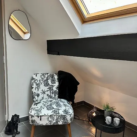Apartment Chaleureux Hypercentre