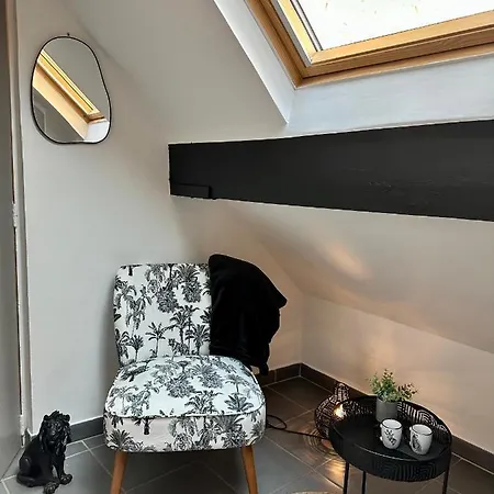 Apartment Chaleureux Hypercentre
